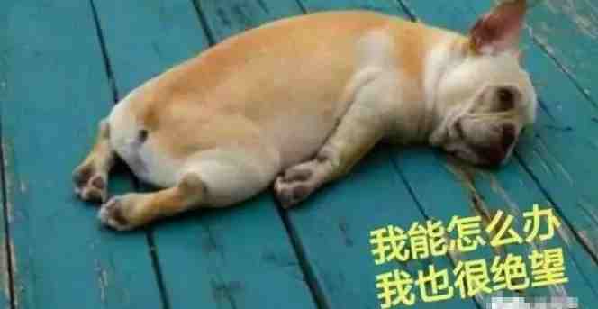 亚马逊Affiliate也会封号？带你避免14个坑（1）