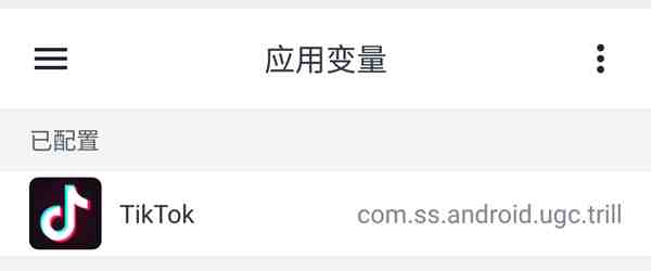 国际版抖音下载安装.png