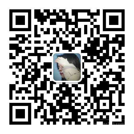 亚马逊新手卖家必看