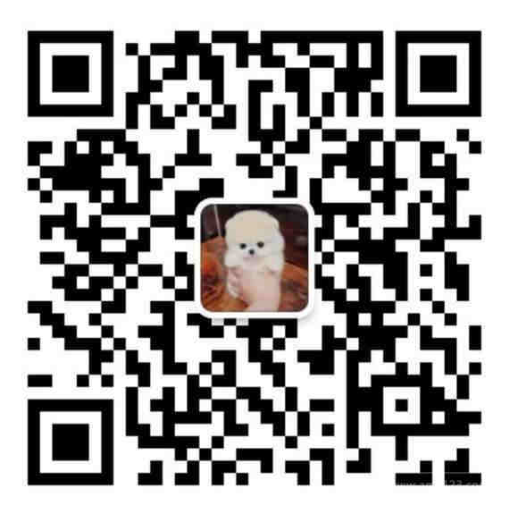 美国欧洲亚马逊注册KYC账单服务商