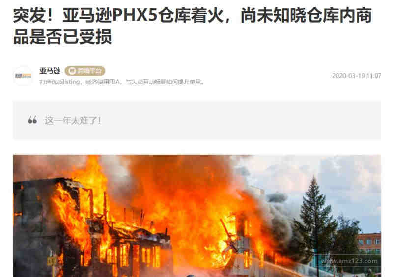 养宠物，日本人是真的舍得