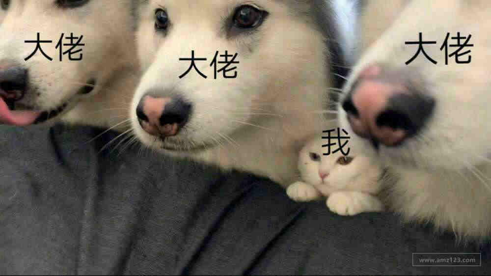 批发亚马逊账号！！支持全国面交！！！！