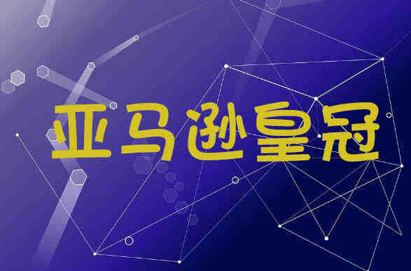 亚马逊遇到账号被封怎么办？