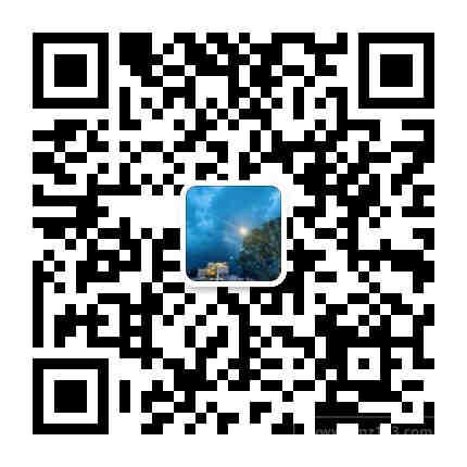 深圳招美国站亚马逊运营主管/合伙人（手机壳自有工厂）