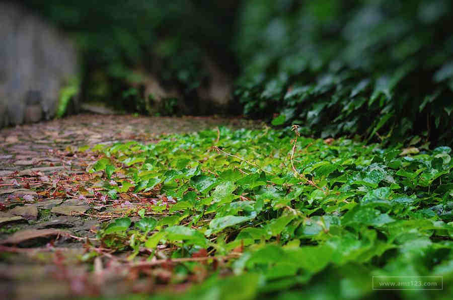 【跨境电商】亚马逊测评的利润及风险分析