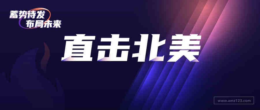 亚马逊新手运营起初需掌握哪些知识？