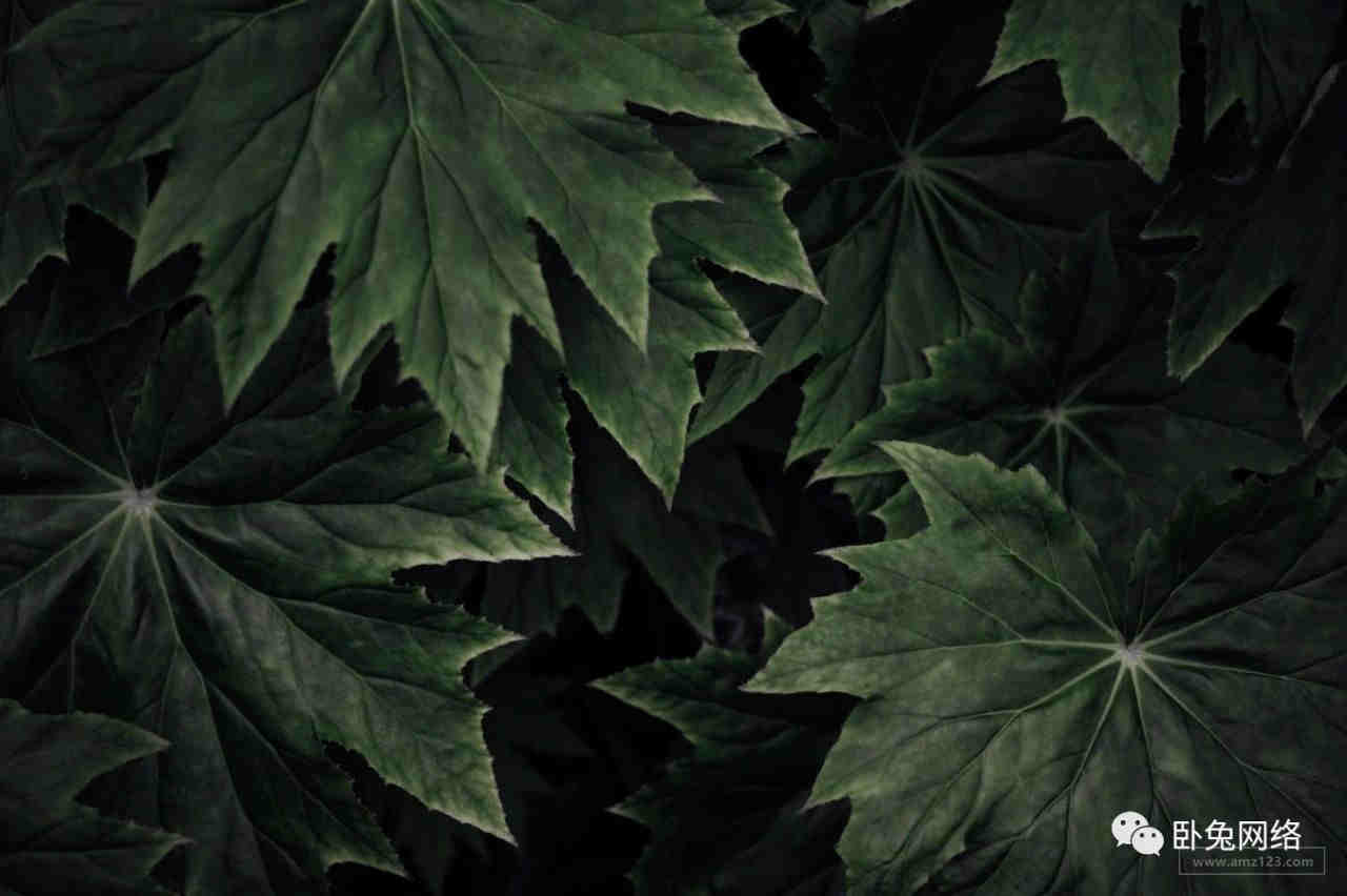 化妆品HRIPT / RIPT测试重复全封闭型皮肤斑贴试验办理