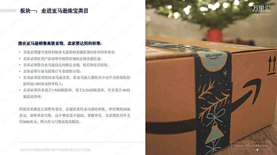 亚马逊欧洲站难做？看他怎样提高销售额增长率高达260%！