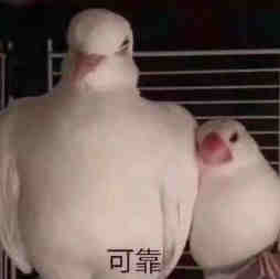 亚马逊产品拍摄短视频的吸引力