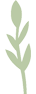 亚马逊废物日记：多元化思维模型