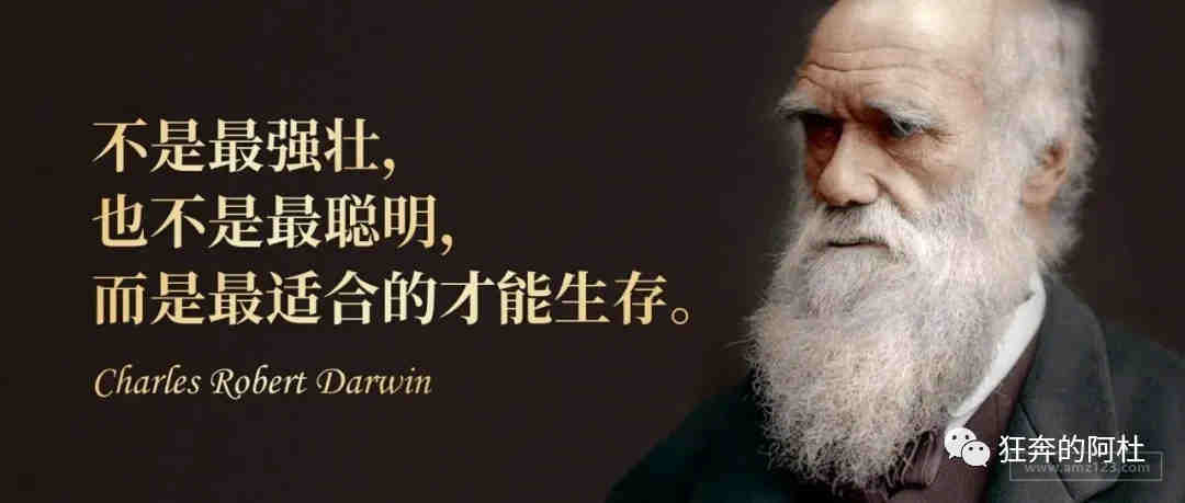 亚马逊废物日记2