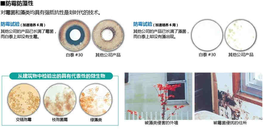 亚马逊美国站榨汁机UL982详解