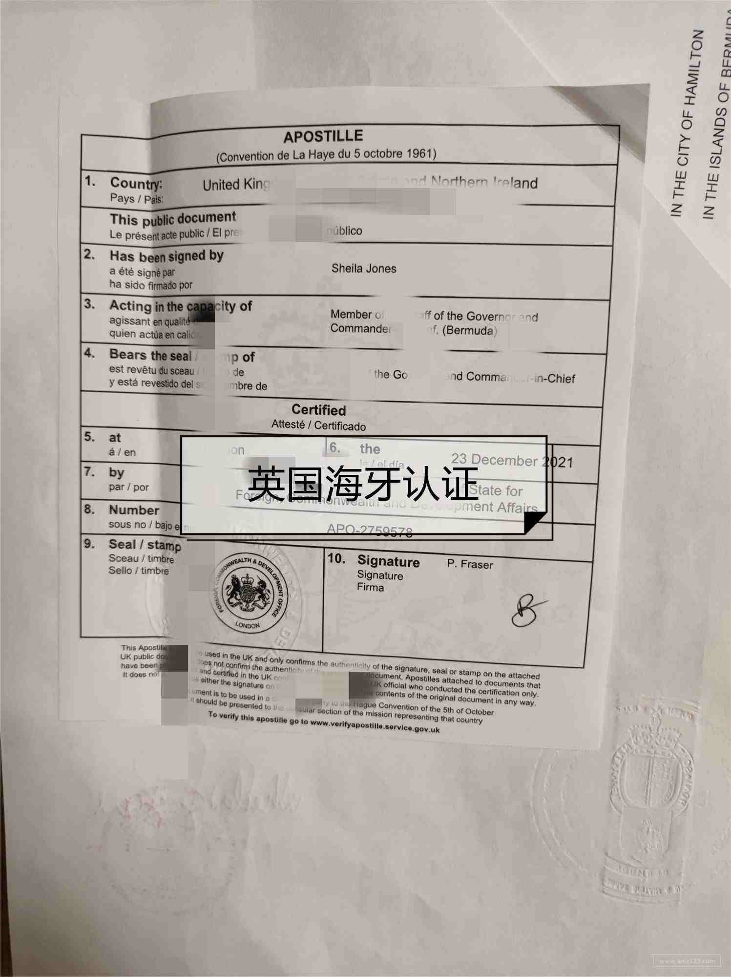 怎么拍亚马逊短视频