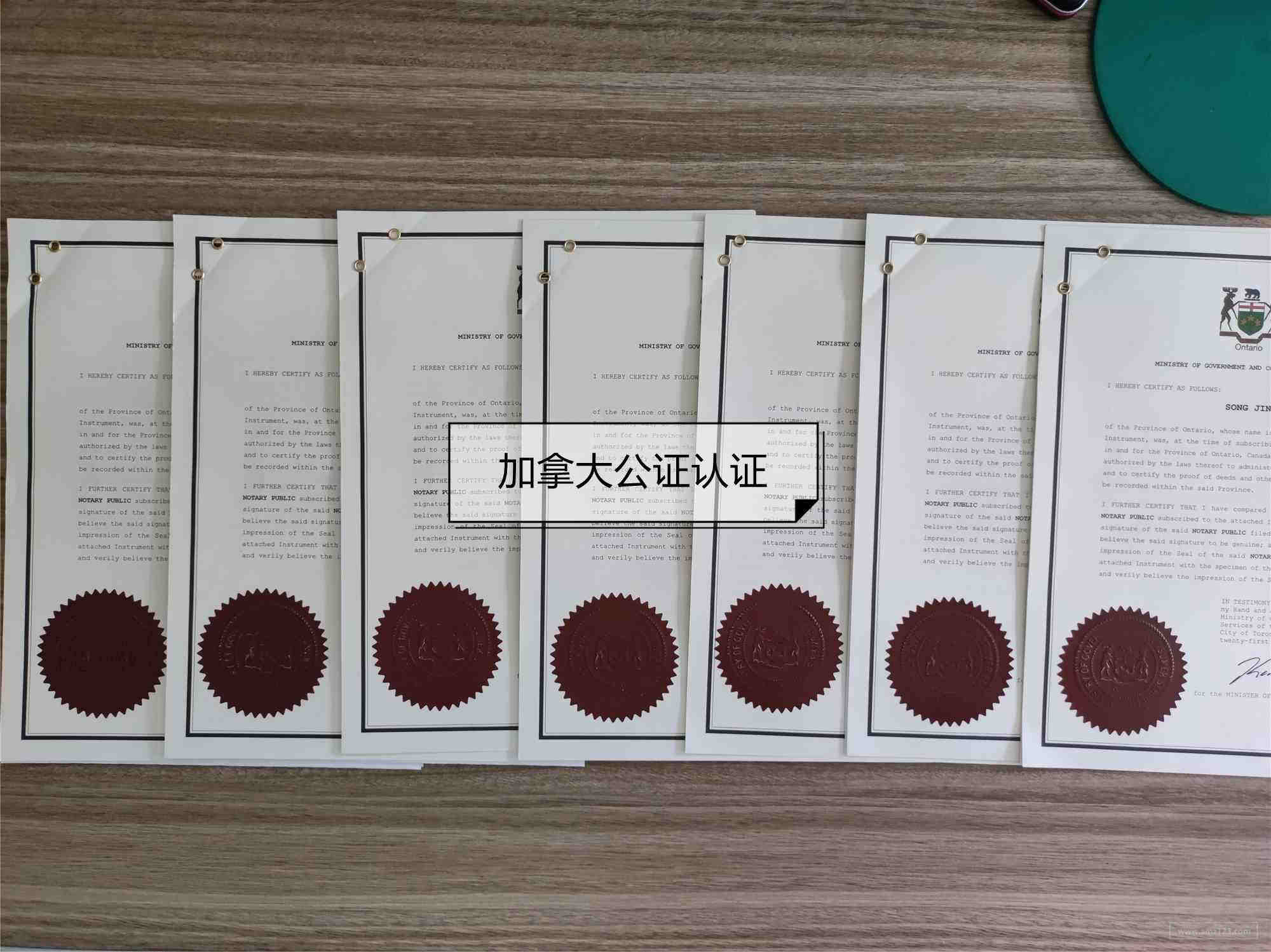 shopify五大热卖产品分析方案