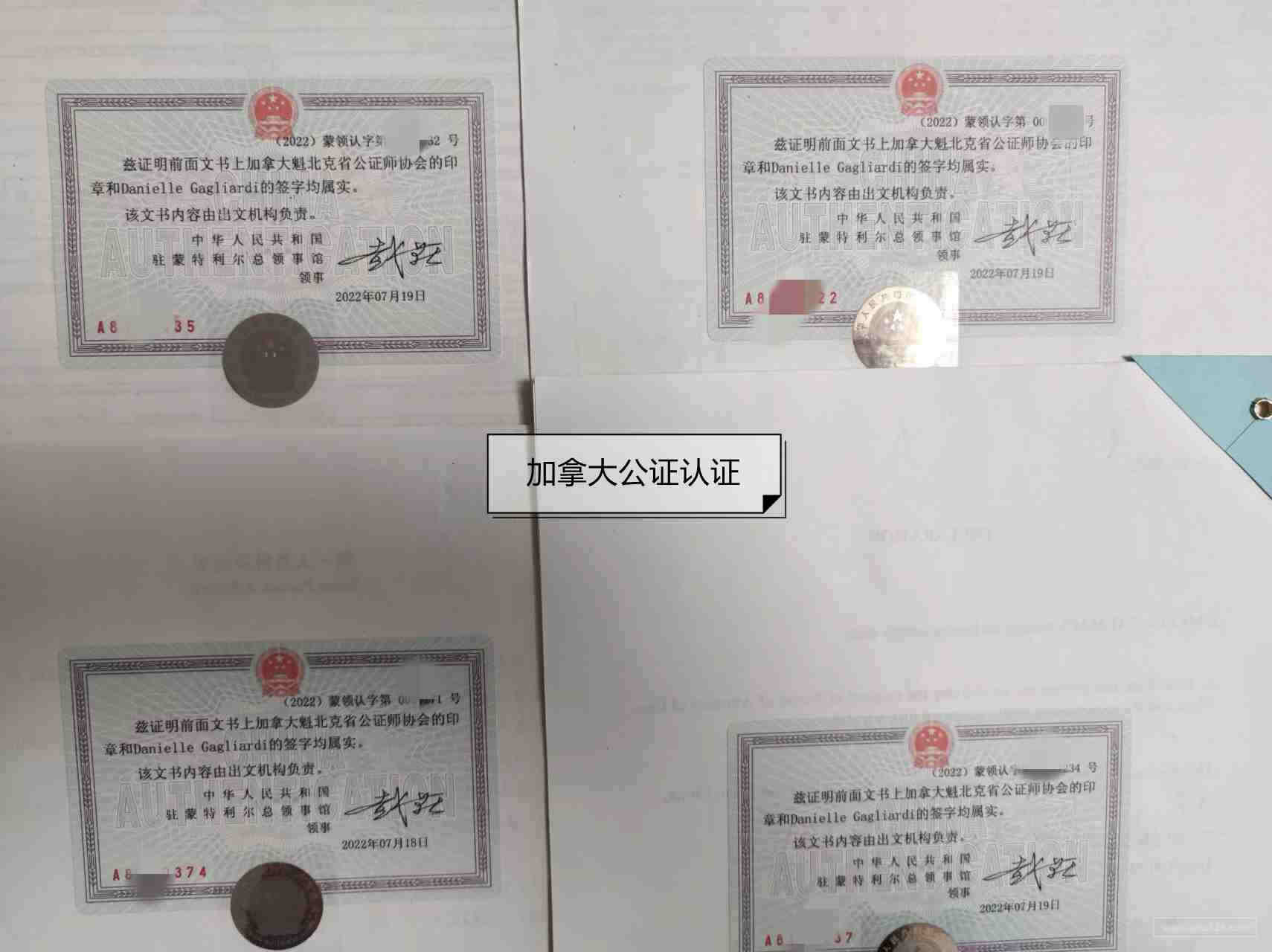 化妆品/护肤品HRIPT / RIPT 多次重复封闭性皮肤斑贴测试 皮肤测试过敏风险