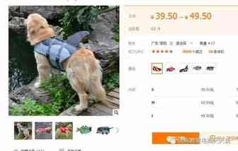 从沙滩度假系列产品戳一戳亚马逊季节产品的痛
