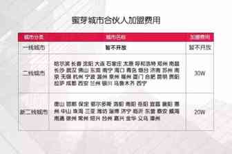 蜜芽开放城市合伙人加盟 7天落定85城