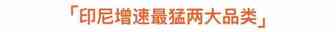 【绝密】Shopee印尼站热卖爆款品类解析