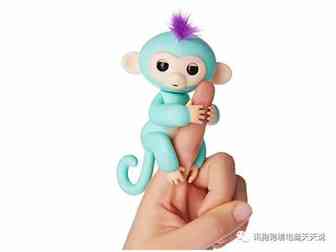 指尖猴子终落幕，自己撸的仿牌自己含着泪也要把他撸完