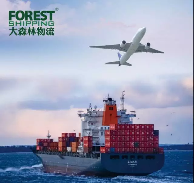 卖家必读|大森林教您如何签署POA（清关委托书）