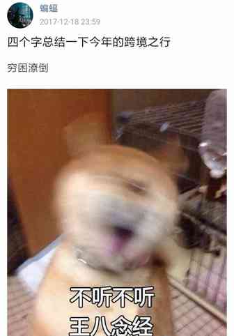 月销30万美金却毫无利润！来看看大卖如何布局
