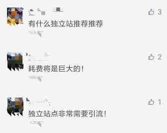 自建站销量不佳？大神教你如何精准引流