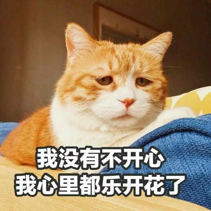 又涨？亚马逊低阶玩家顶住