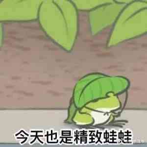 你以为情人节只有恋人才需要送礼物？不，还有你养的蛙
