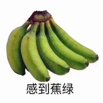黎明前的黑暗：多位卖家遭亚马逊新一轮的严审