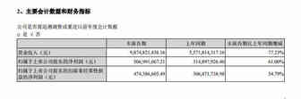 跨境通上半年总营收突破98亿！傲基23亿！华鼎股份24亿！