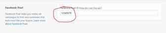 跨境电商(外贸):独立站(shopify)+一件代发(dropshipping)实操笔记(28).facebook pixel篇