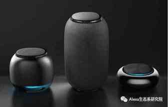 给方案商的建议：围绕Alexa产品的未来开发方向