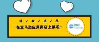 智能选品软件—BQool比酷尔BigTracker选品酷在亚马逊商店上线