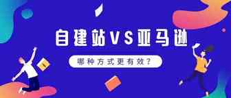 自建站VS亚马逊，到底哪种方式更有优势？