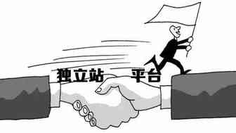 亚马逊越来越难做，独立站就好做吗？