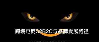 应对跨境电商动荡期不传秘方竟被公开？