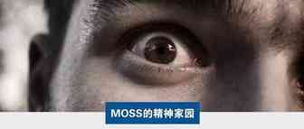 Moss：亚马逊卖家的恐惧，你永远不懂