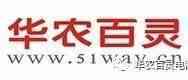 亚马逊卖家如何进行选品？