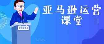 【老魏聊电商】关于平台和站点，亚马逊初级卖家应该知道的那些信息