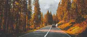 “秃”如其来，做铺货模式的我该怎么办？