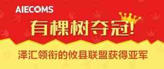 有棵树夺冠……