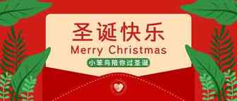 Surprise！今年的圣诞节这样过……