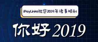 平台红利退去，如何利用独立站开辟第二战场？丨iPayLinks独立站卖家峰会第一站