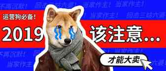 2019成为大卖，你需要注意哪些？