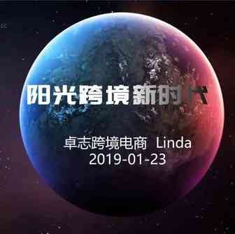 卓志跨境电商执行总裁— — 李金玲：【2019新政解读】