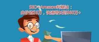SEO案例: Amazon联盟网站，月收入从$2000到$25000