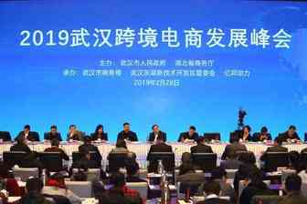 2019年武汉跨境电商发展峰会国内外跨境电商聚集