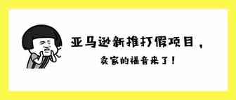 亚马逊新推Project Zero打假项目，卖家可以自行删除山寨产品！