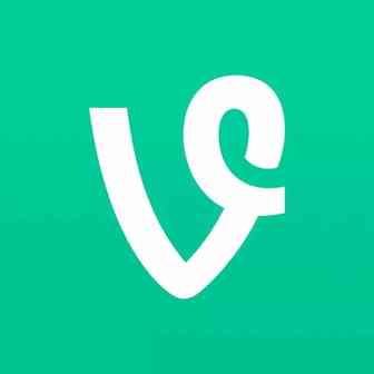 亚马逊如何在直评和vine绿标评价之间取舍