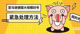 昨夜亚马逊德国封了无数卖家，甚至欧洲五站全被关，紧急处理方法